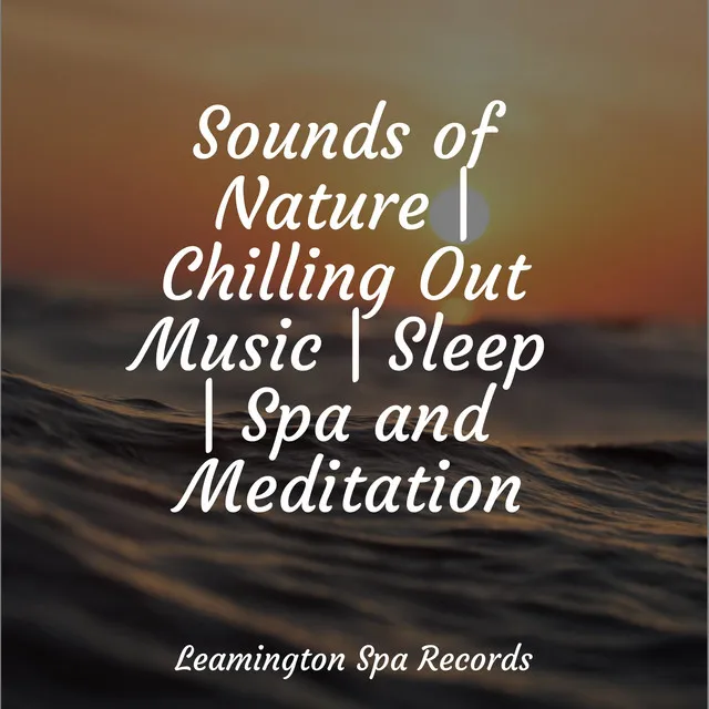 Sounds of Nature | Chilling Out Music | Sleep | Spa and Meditation