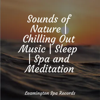 Sounds of Nature | Chilling Out Music | Sleep | Spa and Meditation by Study Concentration