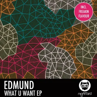 What U Want EP by Edmund