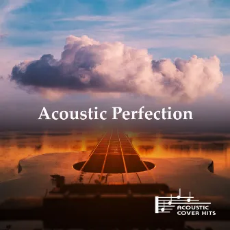 Acoustic Perfection by Unknown Artist