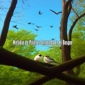 Melodía de Pájaros Cantando en el Bosque by Sonidos del Bosque