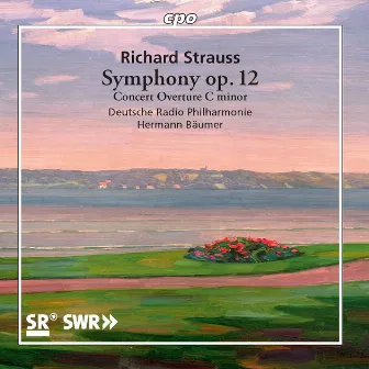 R. Strauss: Symphony No. 2 in F Minor, Op. 12, TrV 126 & Concert Overture in C Minor, TrV 125 by Hermann Bäumer