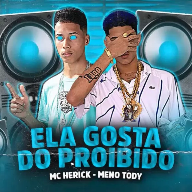 Ela Gosta do Proibido (feat. Meno Tody)