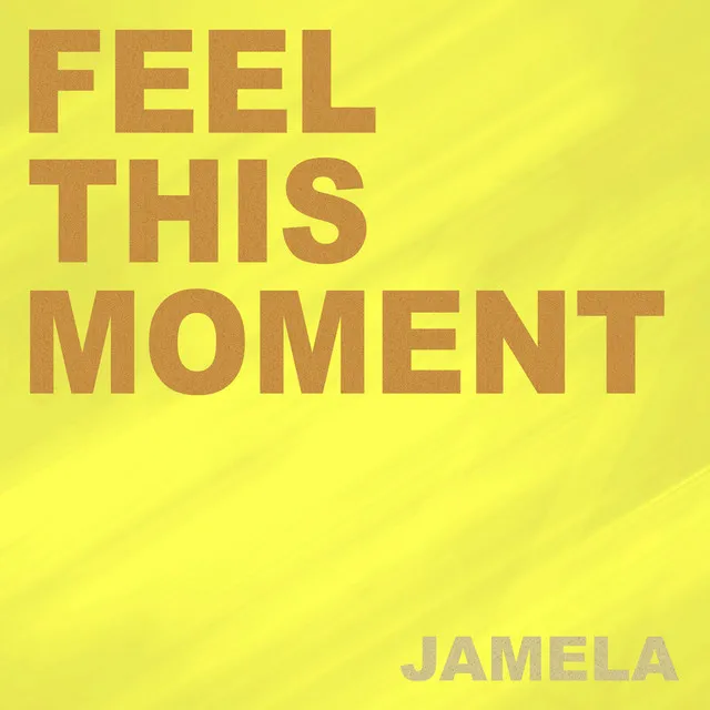 Feel This Moment - Voice of Remix Edit