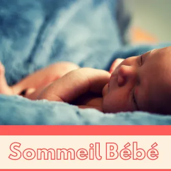 Sommeil Bébé - Berceuse pour bébé et bruits de la nature by Unknown Artist