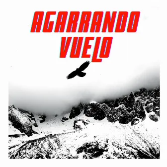 Agarrando Vuelo by LaLo Towers