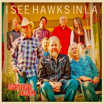 Mystery Drug by I See Hawks In L.A.