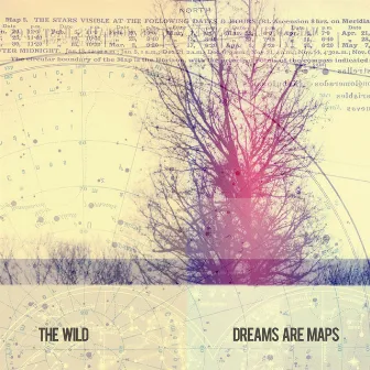 Dreams Are Maps by The Wild