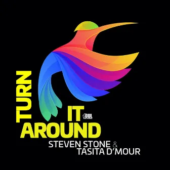 Turn It Around (Radio Mix) by Steven Stone