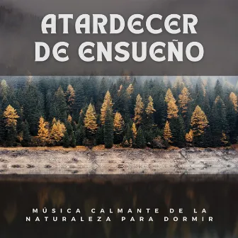 Atardecer de Ensueño: Música Calmante de la Naturaleza para Dormir by Sonido relajante para dormir