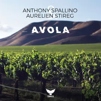 Avola by Anthony Spallino