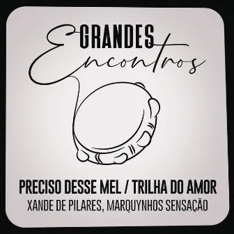 Preciso Desse Mel / Trilha do Amor by Grandes Encontros