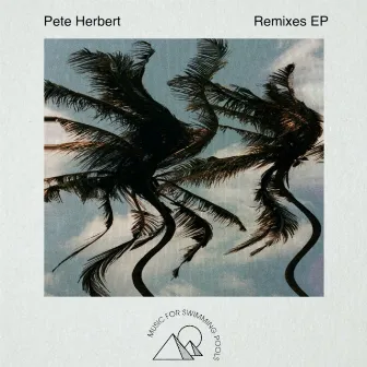 Pete Herbert Remixes EP by Pete Herbert