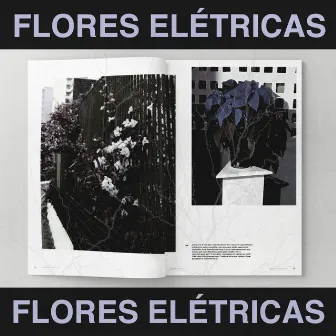 flores elétricas by Unknown Artist