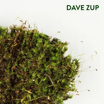 Moss by Dave Zup