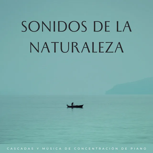 Sonidos De La Naturaleza: Cascadas Y Música De Concentración De Piano