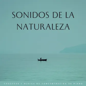 Sonidos De La Naturaleza: Cascadas Y Música De Concentración De Piano by Aguas Naturales