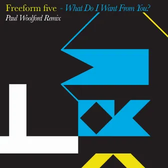 What Do I Want from You? (Paul Woolford Remix) by Freeform Five