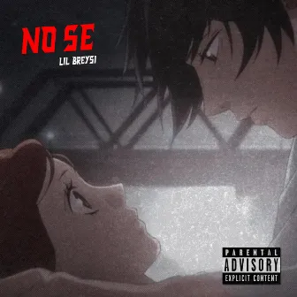 No Se by Unknown Artist