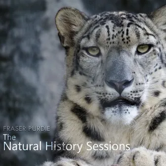 The Natural History Sessions (Original Soundtrack) by Fraser Purdie