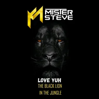 Love Yuh by Mr Steve