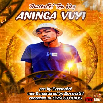 Aninga Vuyi by Bossnathi