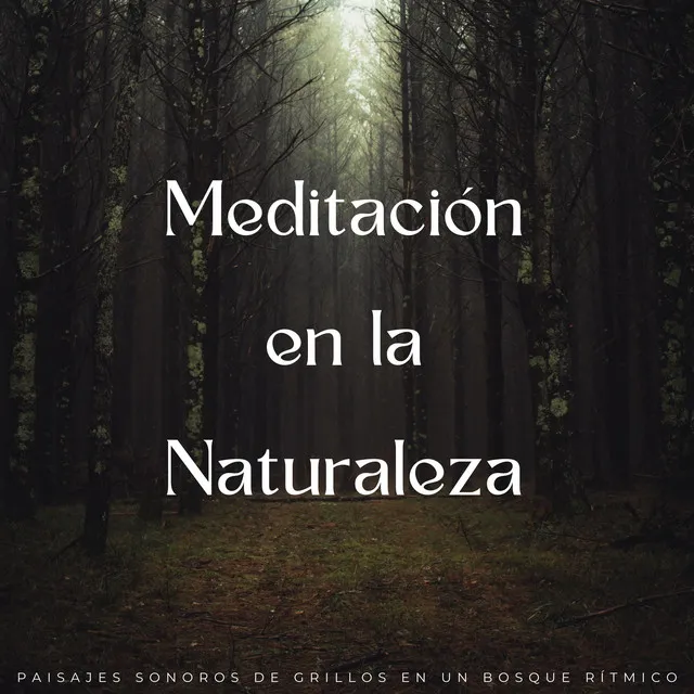 Melodías Ambientales De La Naturaleza Meditativa