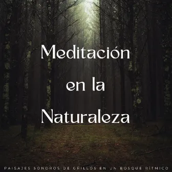 Meditación En La Naturaleza: Paisajes Sonoros De Grillos En Un Bosque Rítmico by Resplandor de la naturaleza