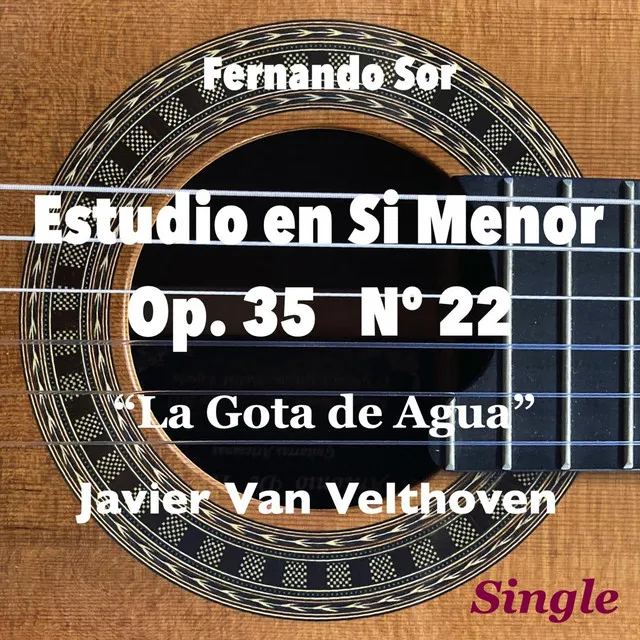 Estudio en Si Menor, Op. 35, No. 22 