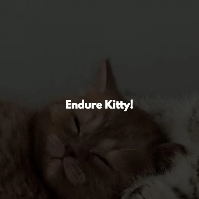 Endure Kitty!