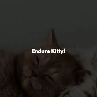 Endure Kitty! by Music for Focus Playlists