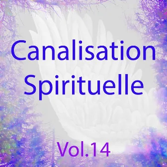 Canalisation spirituelle, vol. 14 (Énergie de guérison) by Aladiah