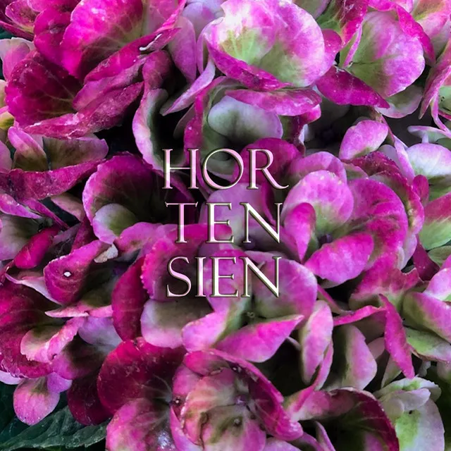 Hortensien