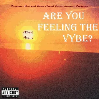 Are You Feeling the Vybe? by M@nni M@n!a