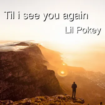 Til I See You Again by Lil Pokey