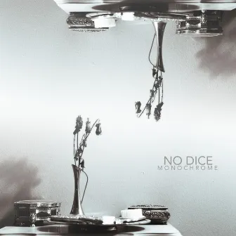 Monochrome by No Dice