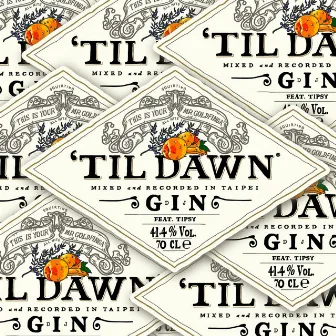 到天亮 - 'TIL DAWN by DJ MR.GIN