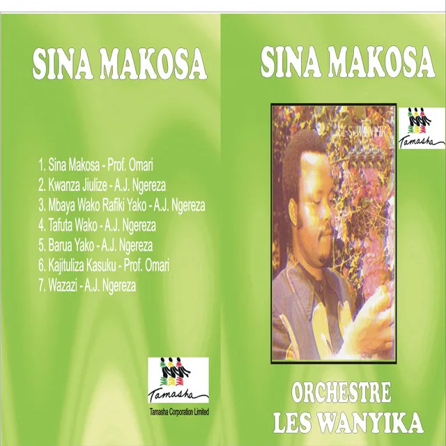 Sina Makosa