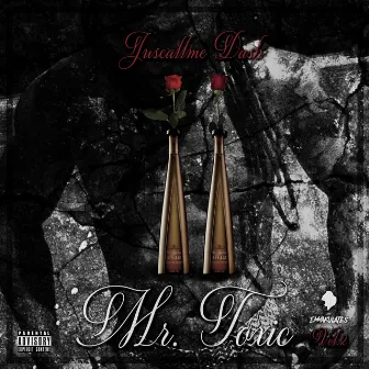 Mr. Toxic, Vol. 2 by Juscallme Dash