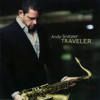 Traveler by Andy Snitzer