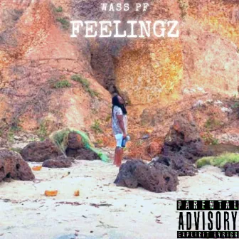 Feelingz by Wass PF