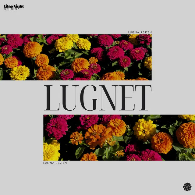 Lugnet