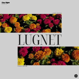 Lugnet by Lugna Resten