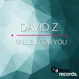 Fallen For You by David Z