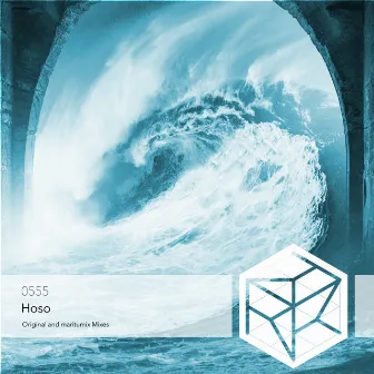 Hoso (Maritumix Extended Remix) by 0555