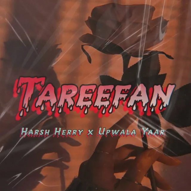 Tareefan