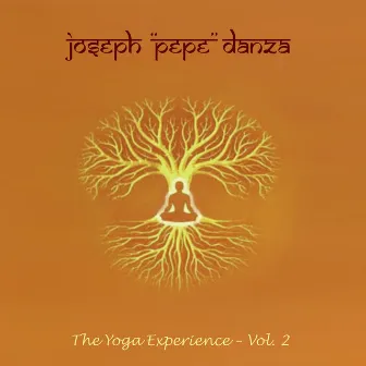 Yoga Experience (Volume 2) by Joseph Pepe Danza