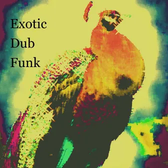 Exotic Dub Funk by Enigmatic City