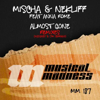 Almost Gone (Remixes) by Mischa