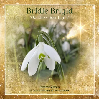 Bridie Brigid Goddess Star Light by Jerome Zoran